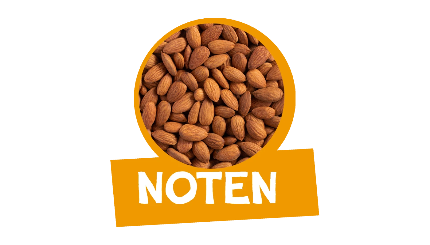 Noten - Aladdins Notenhoek