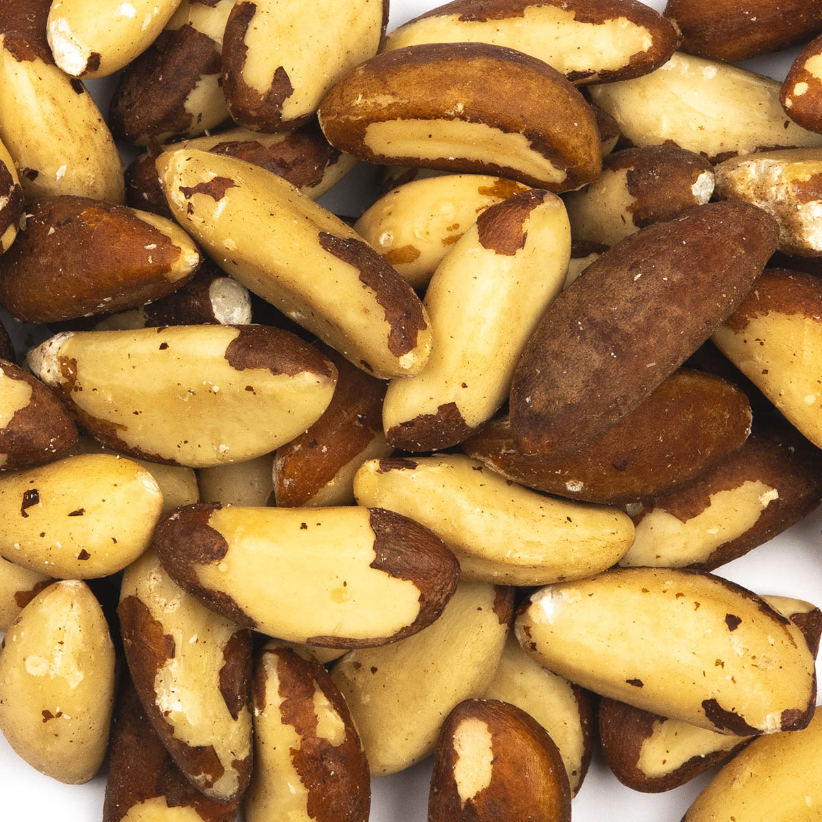 Paranoten / Brasil Nuts (naturel / ongebrand)