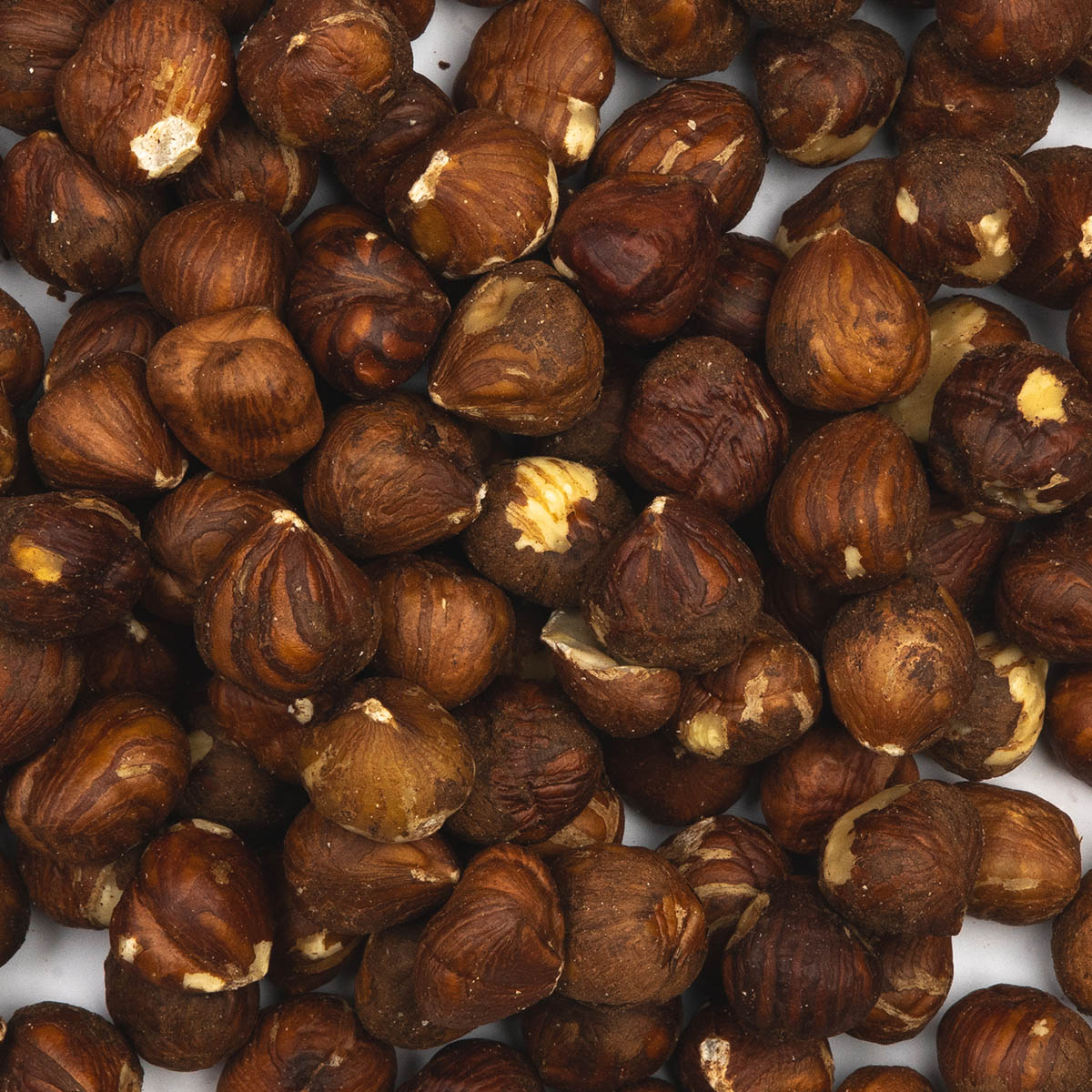 Hazelnoten bruin (naturel / ongebrand)